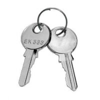 Schneider Electric Spacial Ключ с 2 бородками 3мм купить в интернет-магазине Азбука Сантехники