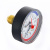 Термоманометр радиальный Watts F+R828 (TMRP) 80 мм, 10 бар (Ø 1/2", 120 °C) купить в интернет-магазине Азбука Сантехники