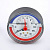 Термоманометр аксиальный Watts F+R818 (TMAP) 80 мм, 10 бар (Ø 1/2", 120 °C) купить в интернет-магазине Азбука Сантехники